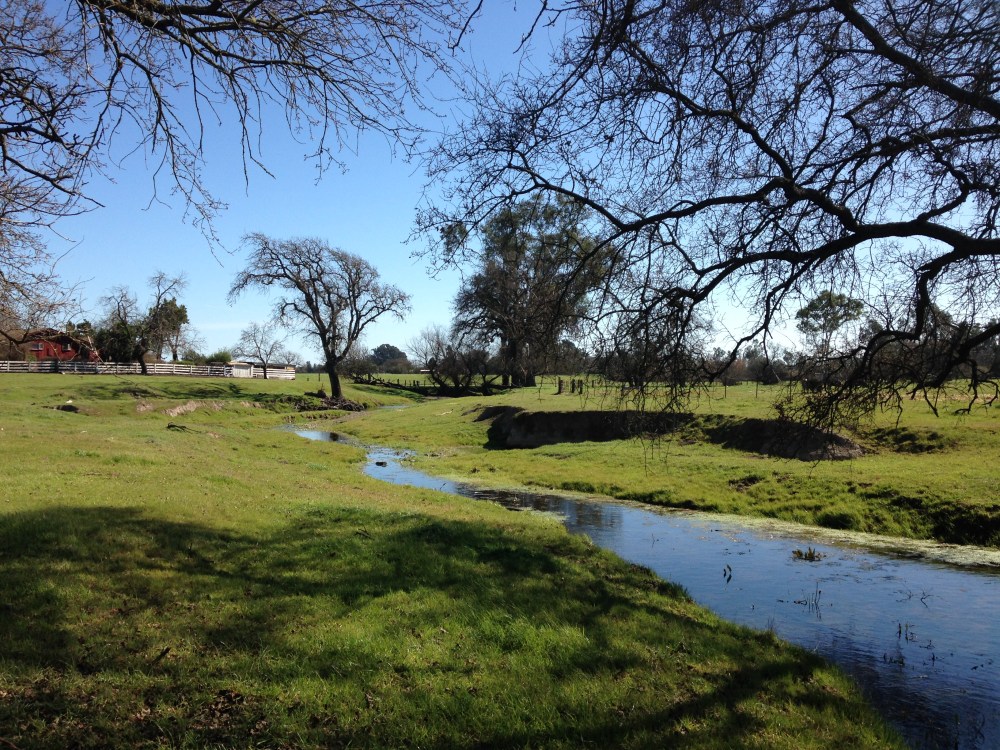 Sonoma Creek